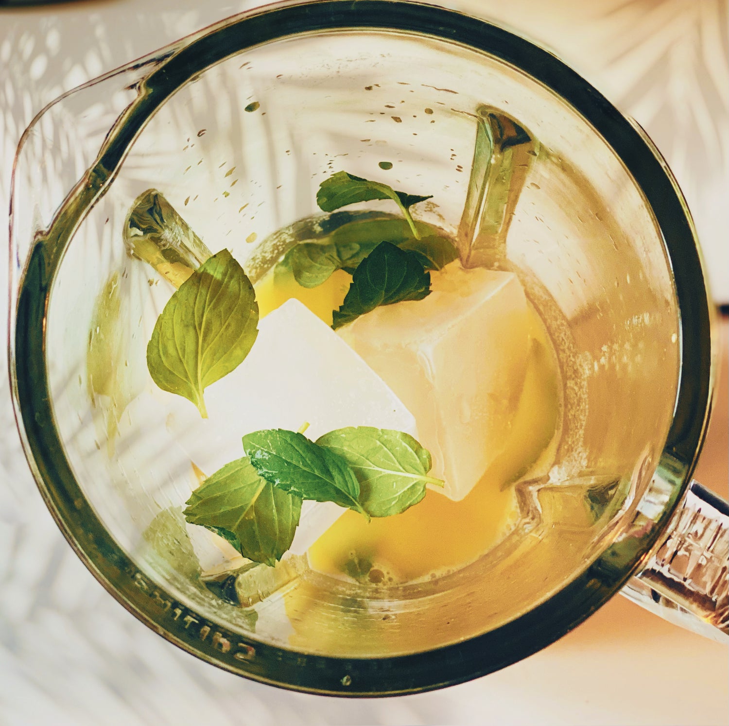 Seasmoss Ice Cubes