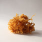 100g dried Golden Seamoss