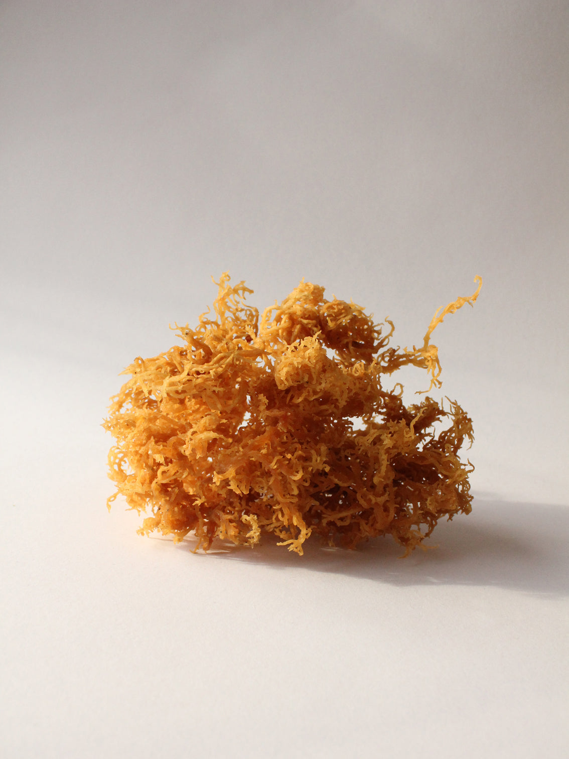 100g dried Golden Seamoss